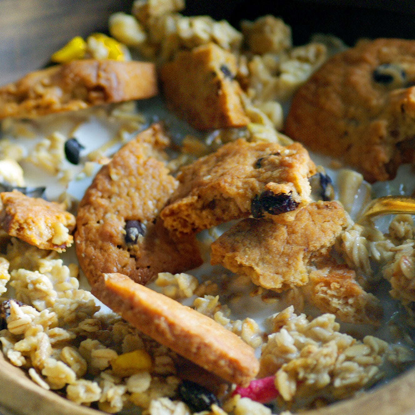 古代小麦の割れクッキー(ヘーゼルナッツ&ブラックレーズン)