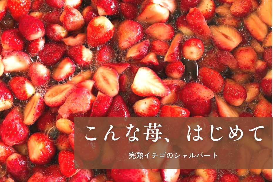 こんな苺、はじめて～完熟イチゴのシャルバート～ – FAR EAST BAZAAR 